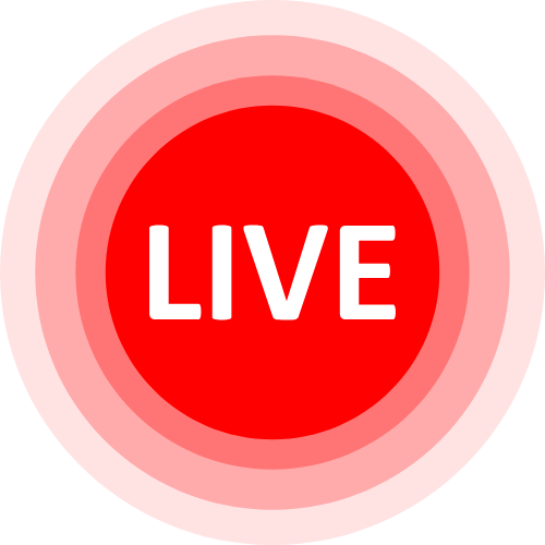 Japanese Cam Models